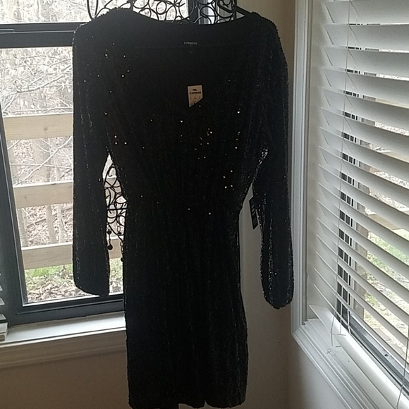 Express Sequins Dress - Picture 2 of 7